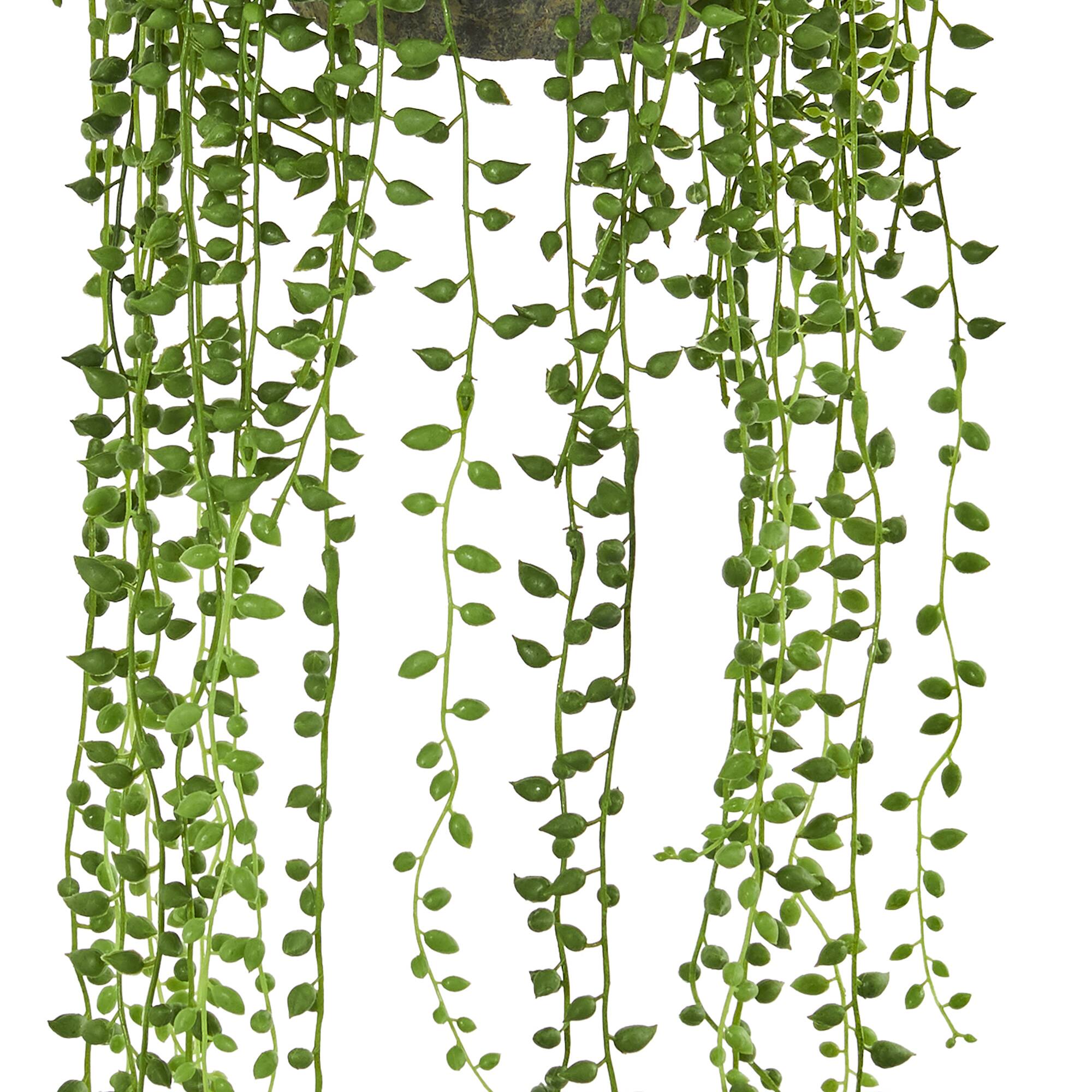 21" String of Pearl Hanging Basket